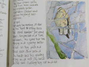 Watercolour Journalling class one to one