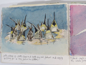 Watercolour Journalling class   group  up to 6 participants  per day