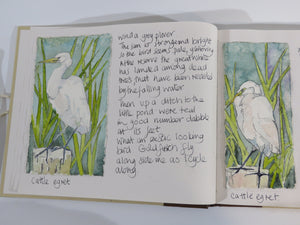 Watercolour Journalling class   group  up to 6 participants  per day