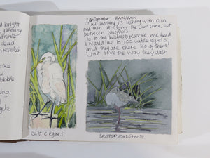 Watercolour Journalling class monthly group  next available date  14th March 2024
