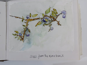 Watercolour Journalling class   group  up to 6 participants  per day