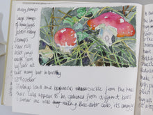 Load image into Gallery viewer, Watercolour Journalling class   group  up to 6 participants  per day
