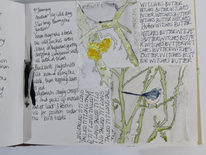 Watercolour Journalling class   group  up to 6 participants  per day